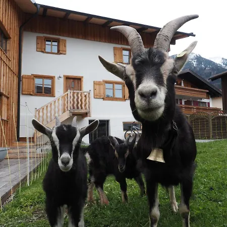 Lexar Hüs *